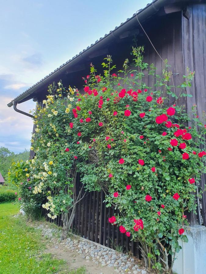 Charmantes Ferienhaus In Bester Lage Keutschach am See Bagian luar foto